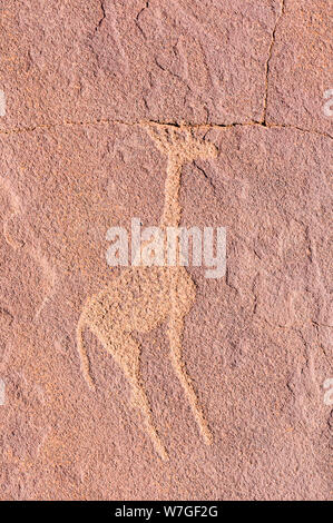 6000 Jahre alte Felszeichnungen von Tieren bei Twyfelfontein, Namibia Stockfoto