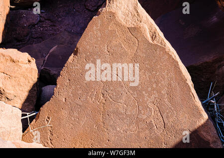 6000 Jahre alte Felszeichnungen von Tieren bei Twyfelfontein, Namibia Stockfoto