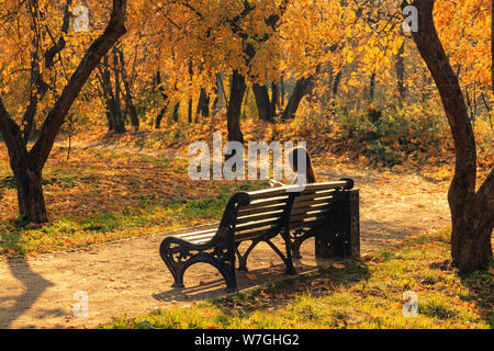 Alte Holzbank im City Park. Natürliche vintage Herbst Hintergrund Stockfoto