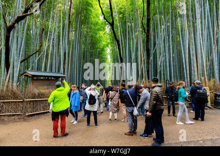 ARASHIYAMA, JAPAN, APRIL 02, 2019: Touristen fotografieren am Eingang des Arashiyama Bambus Wald Weg. Stockfoto