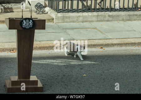 Larry der Downing Street Cat, Chief Mouser bis Nr. 10, Spaziergänge Vergangenheit, Rednerpult, Podium der Lautsprecher vor dem Eingang Stockfoto