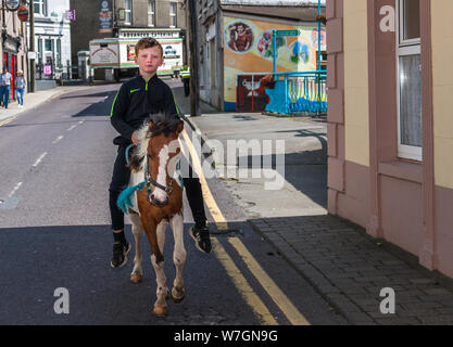 Dunmanway, Cork, Irland. 06 August, 2019. Micky Stokes mit seinem mini Traber pony bei Ballabuidhe Horse Fair, die im August in Dunmanway gehalten wird, Co Cork, Irland. - Gutschrift; David Creedon/Alamy leben Nachrichten Stockfoto