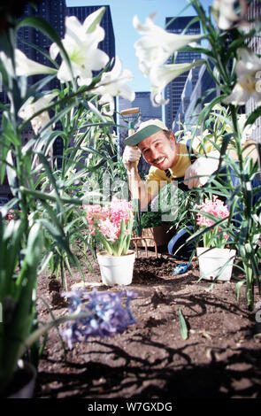Mann, arbeitet im Garten Stockfoto