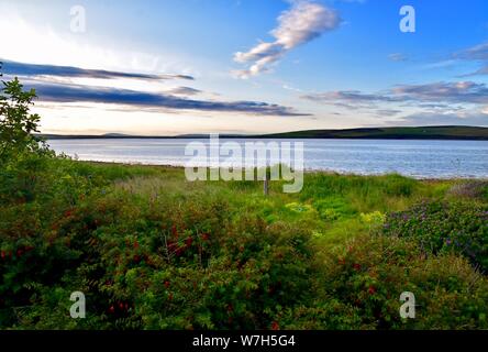 Die Ruff und Wasser Sound, St. Margaret's Hope. Stockfoto