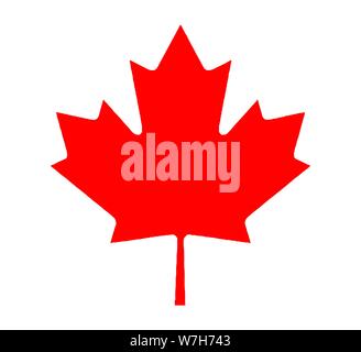 Der kanadische Maple Leaf Symbol auf weißem Hintergrund Stock Vektor