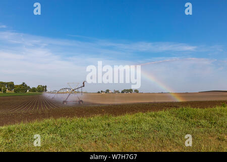 Drehmittelpunkt Bewässerung Wasser auf einer vor kurzem gepflanzt Soja Bauernhof Feld erstellen Regenbogen in der Morgensonne in trockenen Bedingungen Stockfoto