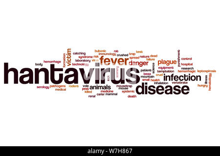 Hantavirus Wort cloud Konzept Stockfoto