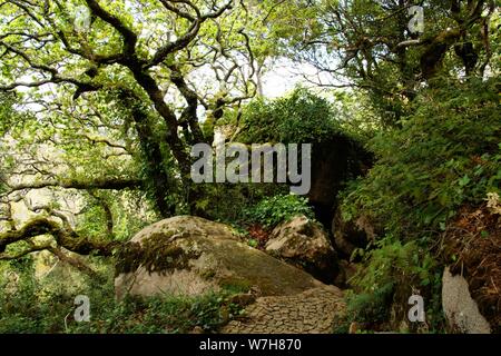 Weiter Sie nach Lissabon finden Sie Sintra, das berühmt ist für seine Burg Palácio Nacional da Pena den Gärten ist Stockfoto