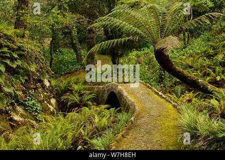 Weiter Sie nach Lissabon finden Sie Sintra, das berühmt ist für seine Burg Palácio Nacional da Pena den Gärten ist Stockfoto