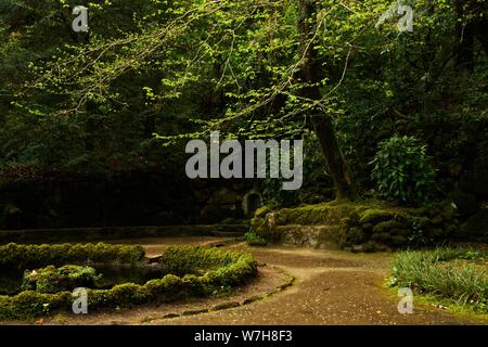 Weiter Sie nach Lissabon finden Sie Sintra, das berühmt ist für seine Burg Palácio Nacional da Pena den Gärten ist Stockfoto
