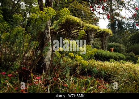 Weiter Sie nach Lissabon finden Sie Sintra, das berühmt ist für seine Burg Palácio Nacional da Pena den Gärten ist Stockfoto