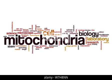 Mitochondrien Wort cloud Konzept Stockfoto