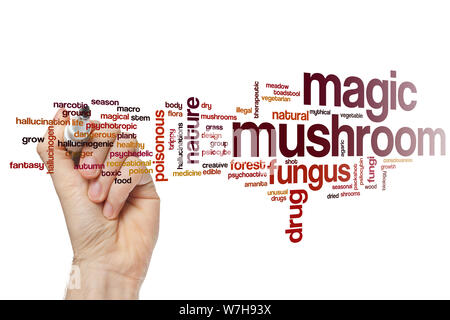 Magic Mushroom Wort cloud Konzept Stockfoto