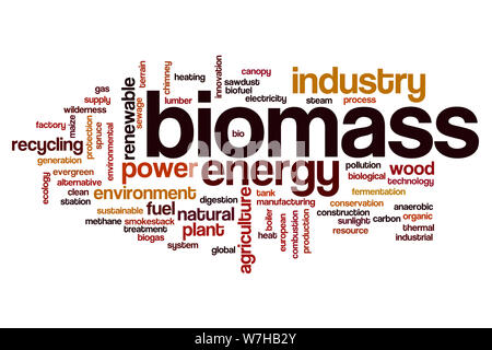 Biomasse Wort cloud Konzept Stockfoto