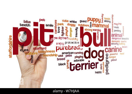 Pit Bull Wort cloud Stockfoto