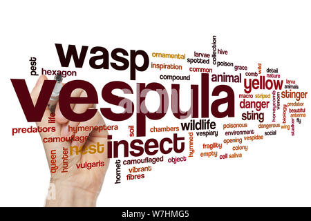 Vespula Wort cloud Konzept Stockfoto