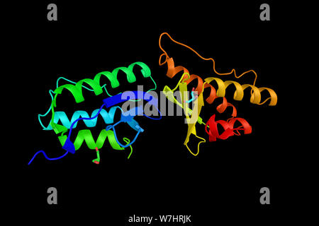 Nischarin, ein nonadrenergic imidazoline-1-Rezeptor Protein, das in das Cytosol und Anker auf die innere Schicht der Plasmamembran lokalisiert. 3d-rend Stockfoto