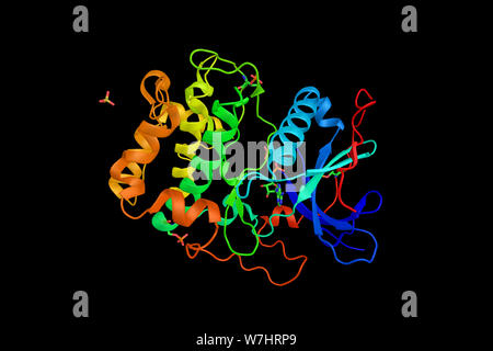 Serin/Threonin-proteinkinase N2, ein Enzym, das in den Menschen durch die Pkn2-Gen kodiert ist. 3D-Rendering. Stockfoto