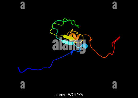 Proteinkinase C delta Typ, ein Enzym, das als Rezeptor für phorbol Ester dient, eine Klasse von Tumor Projektträger. 3D-Rendering. Stockfoto