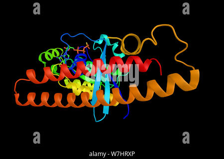 Proteinkinase N1, ein Enzym, das die Rho-abhängige Signalweg vermitteln. 3D-Rendering. Stockfoto