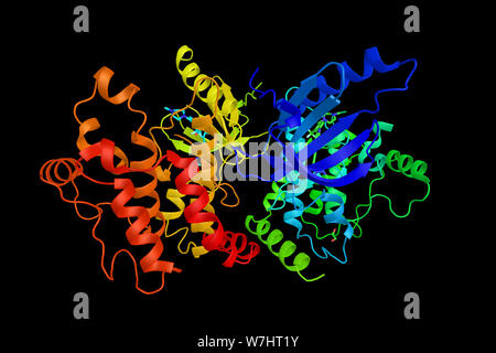Rezeptor-interagierende Serin/Threonin-Protein kinase 2, ein Enzym, das ist eine Komponente der Signalisierung komplexe sowohl in der angeborenen und adaptiven Immunantwort p Stockfoto