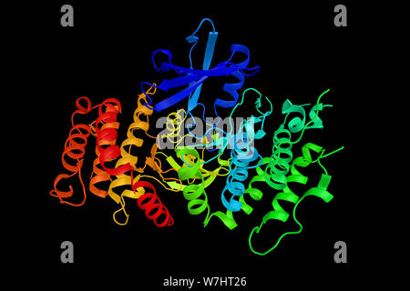 Rezeptor-interagierende Serin/Threonin-Protein kinase 3, ein Enzym, das vor allem im Zytoplasma lokalisiert. 3D-Rendering. Stockfoto