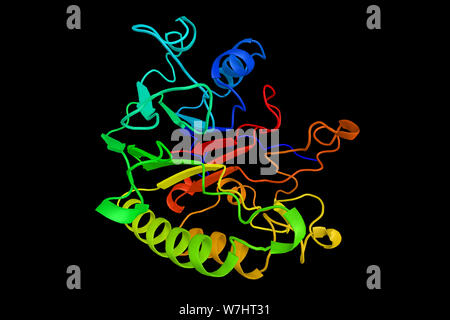 Retinal-Forming Carotinoid Cyclooxygenase, ein Mitglied einer Familie von Enzymen, die in der Spaltung der Carotinoide beteiligt Vitamin A 3D Rendering zu produzieren. Stockfoto