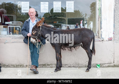 Dunmanway, Cork, Irland. 06 August, 2019. William Ryan, Ballydehob mit seinem Esel Pringle am Ballabuidhe Horse Fair, die jeden August in Dunmanway, Co Cork, Irland, statt. - Gutschrift; David Creedon/Alamy leben Nachrichten Stockfoto