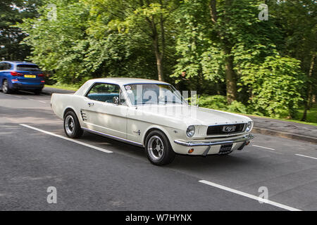 Verschwommen fahrendes Auto Shelby FORD MUSTANG GT AUTO American Muscle Car langsam Kamera Verschlusszeit Bewegungen des Fahrzeugs Stockfoto