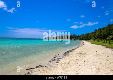 Strand Ufer in der Nähe der Wiese mit Bäumen und Menschen In der Ferne mit blauem Himmel Stockfoto