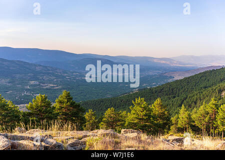 Berg und Kiefer Wald landschaft bei Sonnenuntergang Stockfoto