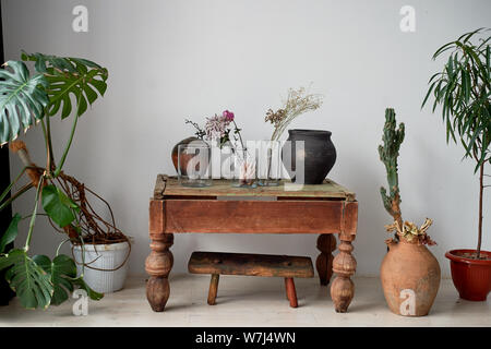 Alten hölzernen Couchtisch, geknackt. Pflanzen in Töpfe und Kübel. Gläser mit getrockneten Blumen. Stockfoto