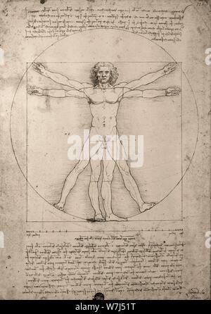 Zeichnung, Leonardo da Vinci, Vitruvianische Mensch, Italien Stockfoto