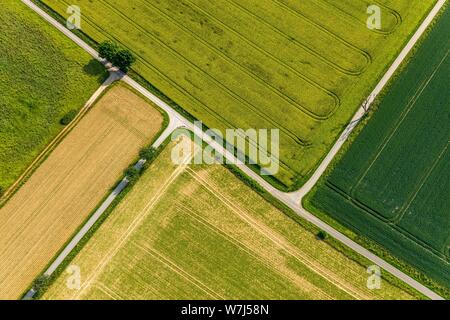 Luftaufnahme, Pfade durch Grün und abgeernteten Feldern, landwirtschaftliche Landschaft, Nordrhein-Westfalen, Deutschland Stockfoto