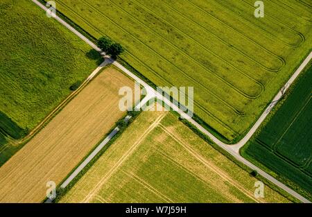 Luftaufnahme, Pfade durch Grün und abgeernteten Feldern, landwirtschaftliche Landschaft, Nordrhein-Westfalen, Deutschland Stockfoto
