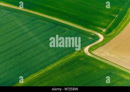 Luftaufnahme, gewundenen Feldweg zwischen grünen Feldern, Ruhrgebiet, Nordrhein-Westfalen, Deutschland Stockfoto