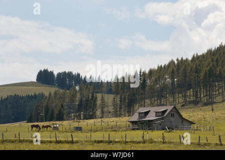 Hügelige Landschaft mit Feldern und Bäumen, mit einem kleinen Bauernhaus und Pferde im Vordergrund, an einem schönen Sommertag. Stockfoto