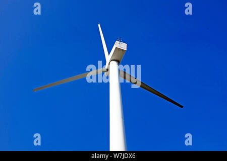 Rückansicht einer Windenergieanlage, die Wind aus dem Eriesee in Cleveland, Ohio, USA belästigt Stockfoto