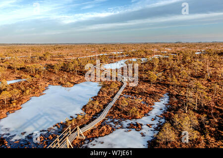 Holz- Wanderweg in Sumpf mit schönen Abend Sonne Licht am Goldenen Stunde und im Herbst bunte Flora von winter Kemeri großen Sumpf Sumpf, Luftaufnahme Stockfoto