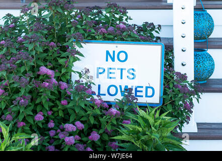 Ein Zeichen dafür, dass der sagt: Keine Haustiere erlaubt ist in einem Garten in fron einer Veranda mit blauen Buchstaben. Stockfoto