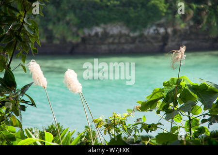 Ishigaki, Japan, 01.05.2019, Blick auf die berühmte Kabira Bay im Norden der Insel. Dieser Punkt ist ein Muss für Touristen in Ishigaki jima sehen. Stockfoto