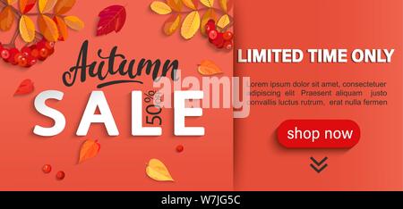 Herbst Sale Banner mit Platz für Text, begrenzte Zeit Rabatte. Herbstlaub, Vogelbeeren für saisonale shopping Förderung, Web, Flyer. Vorlage für Stock Vektor