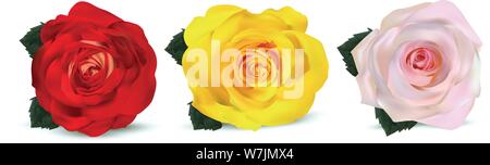 3d realistische Rosen auf einem weißen Hintergrund. Die rose ist rot, orange-gelb und beige. Zarte Rosen. Detaillierte retuschieren. Sammlung drei Blume. Vektor Stock Vektor