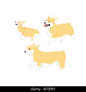 Set von Corgi Hunden. Auf weissem Hintergrund. Flat Style cartoon Vektor Stock Vektor