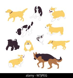 Satz von mehreren Rasse laufen und sitzen Hunde, corgi, Retriever, Schäferhund, Retriever, Spaniel, Chihuahua, Pommern Stock Vektor
