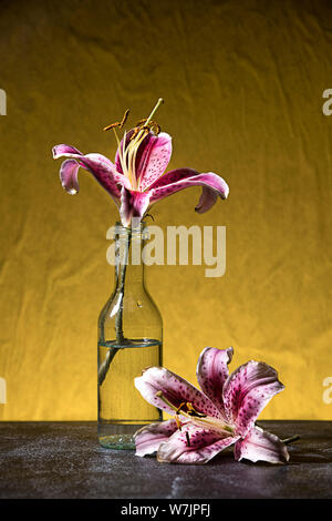 Ein studio Foto von lila Lilien in eine Glasflasche und daneben. Stockfoto