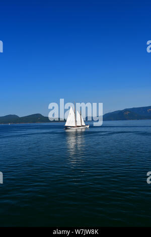 Ein Segelboot lagen die Gewässer des Salish Meer weg die San Juan Inseln im Staat Washington, USA Stockfoto