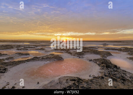 Getrocknete Salt Marsh Farben in San Francisco South Bay Stockfoto