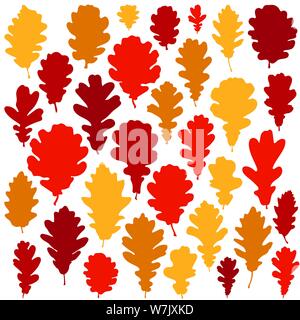 Bunte Herbst Eichenlaub auf weißem Hintergrund Stock Vektor