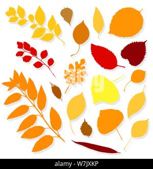 Bunte Blätter im Herbst auf weißem Hintergrund. Vector Illustration Stock Vektor